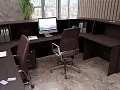 ресепшн Рива Венге